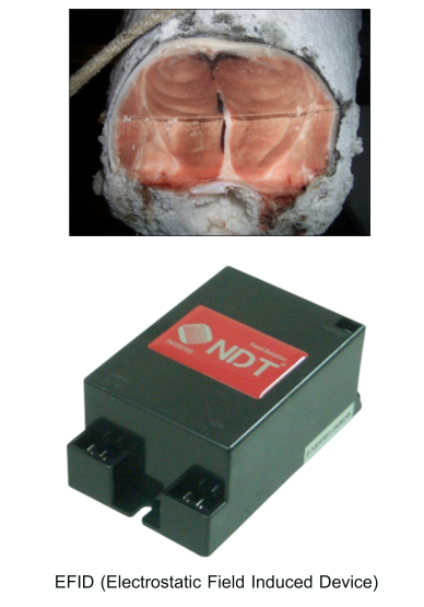 Golden Filtech EFID (Sub Zero Defrosting (-3 Degree C) Device